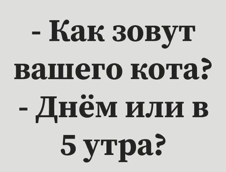 - Как зовут вашего кота? - Днём или в 5 утра?