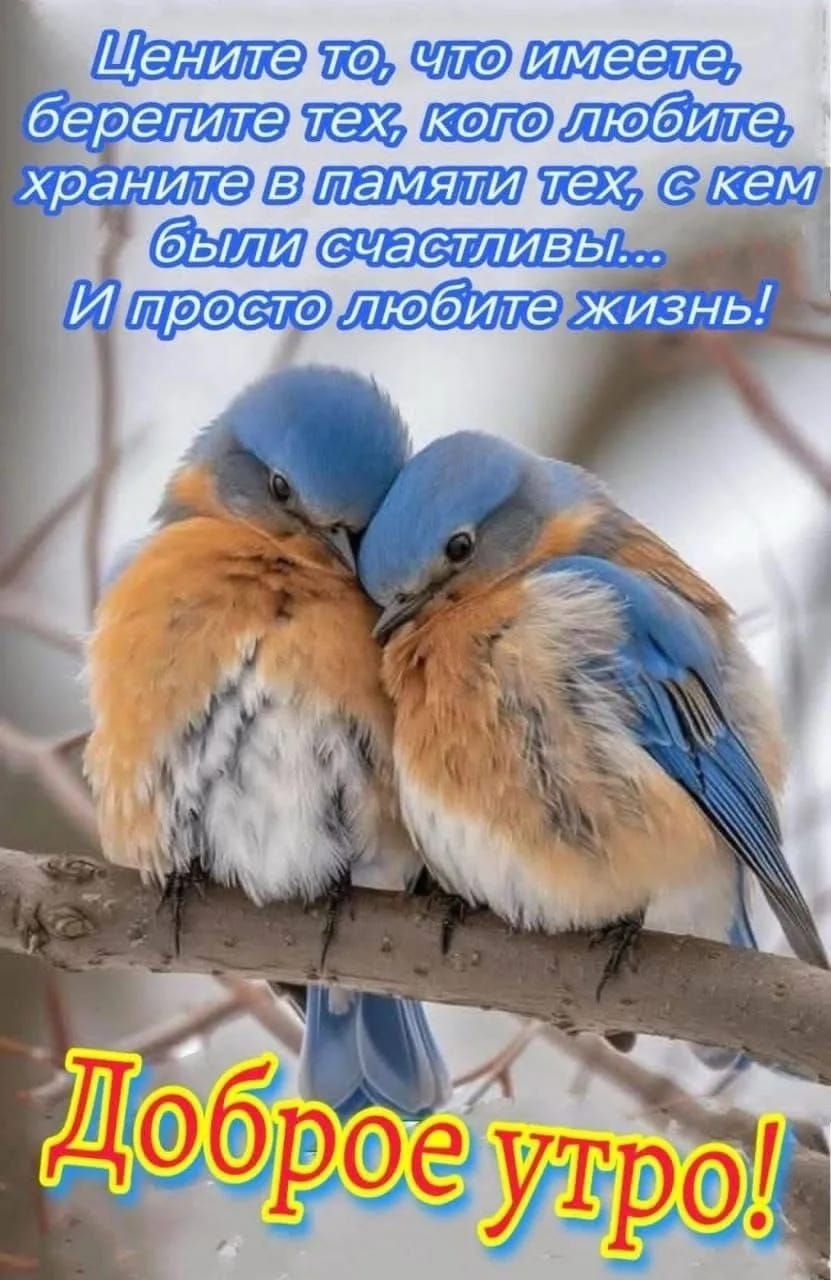 Цените то, что имеете, берегите тех, кого любите, храните в памяти тех, с кем были счастливы... И просто любите жизнь! Доброе утро!