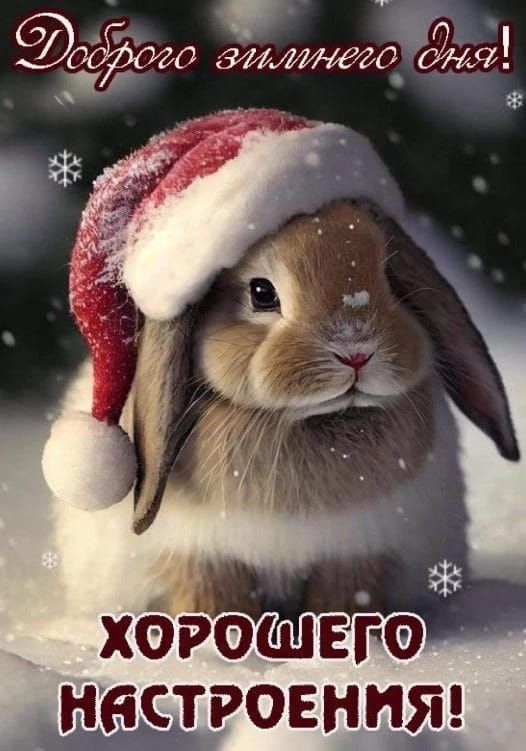 Доброго зимнего дня! ХОРОГО НАСТРОЕНИЯ!