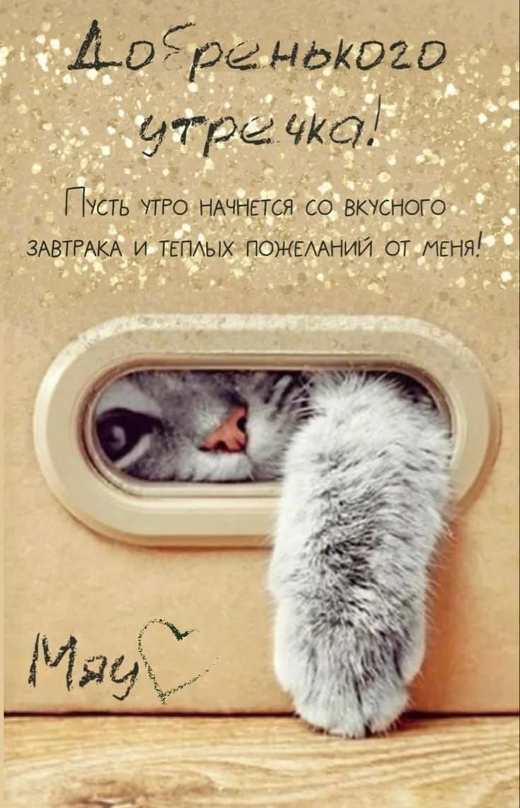 Добрененького утречка! Пусть утро начнётся со вкусного завтрака и тёплых пожеланий от меня! Мау