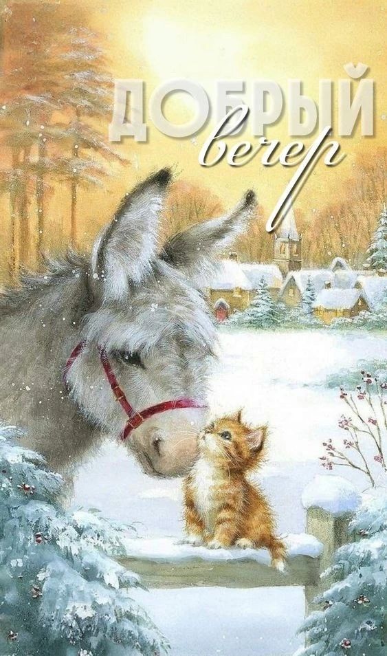 Добрый вечер