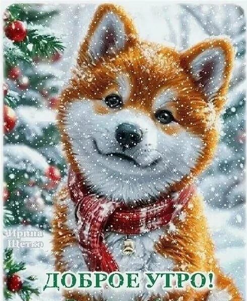 Доброе утро!