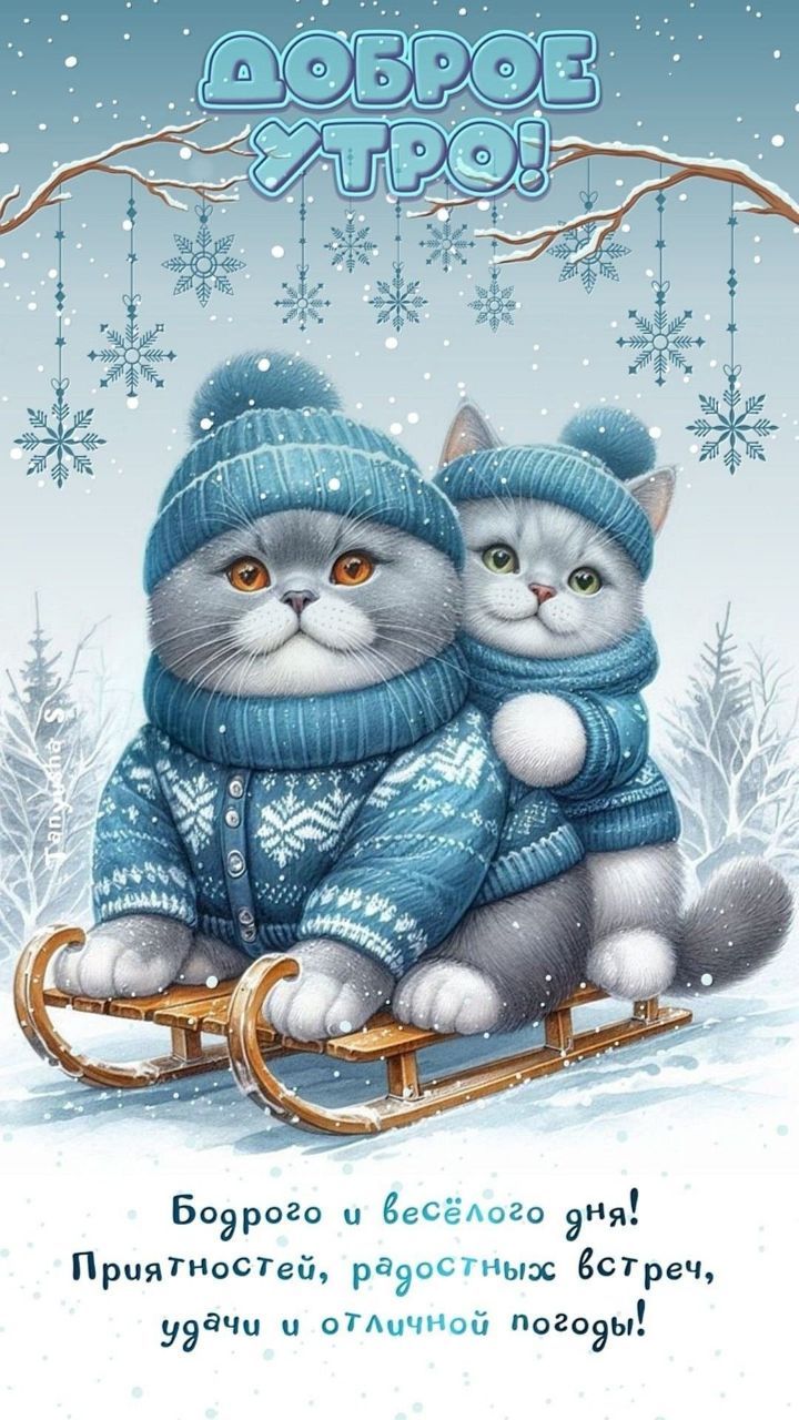 Доброе утро!\nБодрого и весёлого дня! Приятностей, радостных встреч, удачи и отличной погоды!