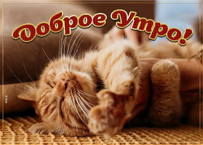 Доброе утро!