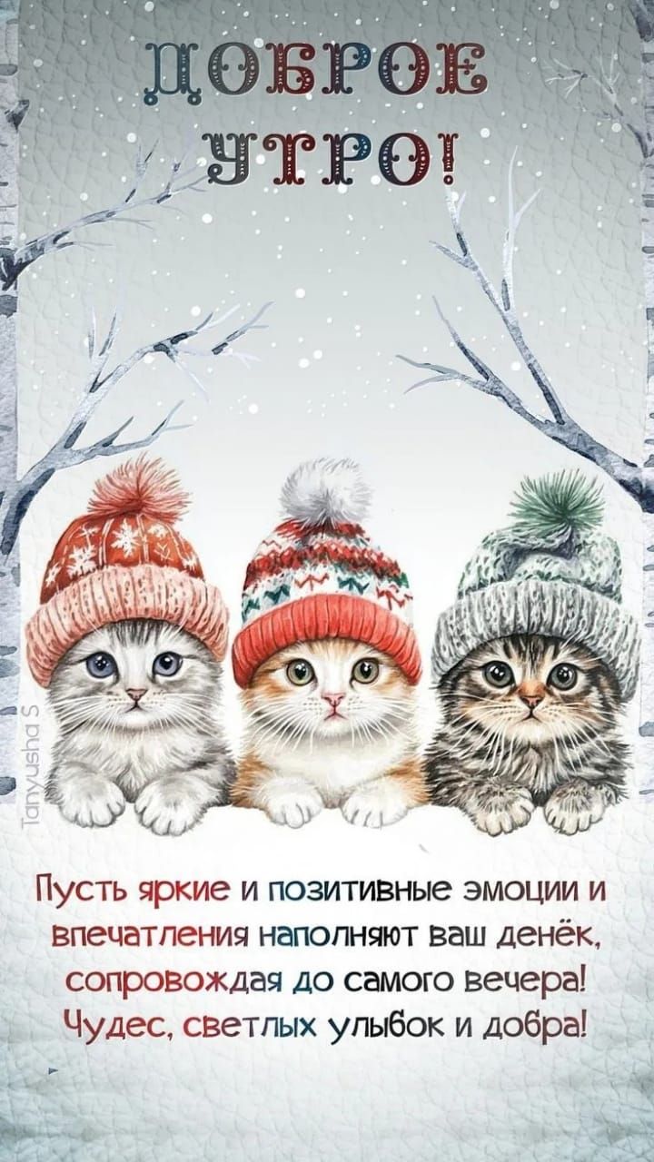 Доброе утро! Пусть яркие и позитивные эмоции и впечатления наполняют ваш денёк, сопровождая до самого вечера! Чудес, светлых улыбок и добра!