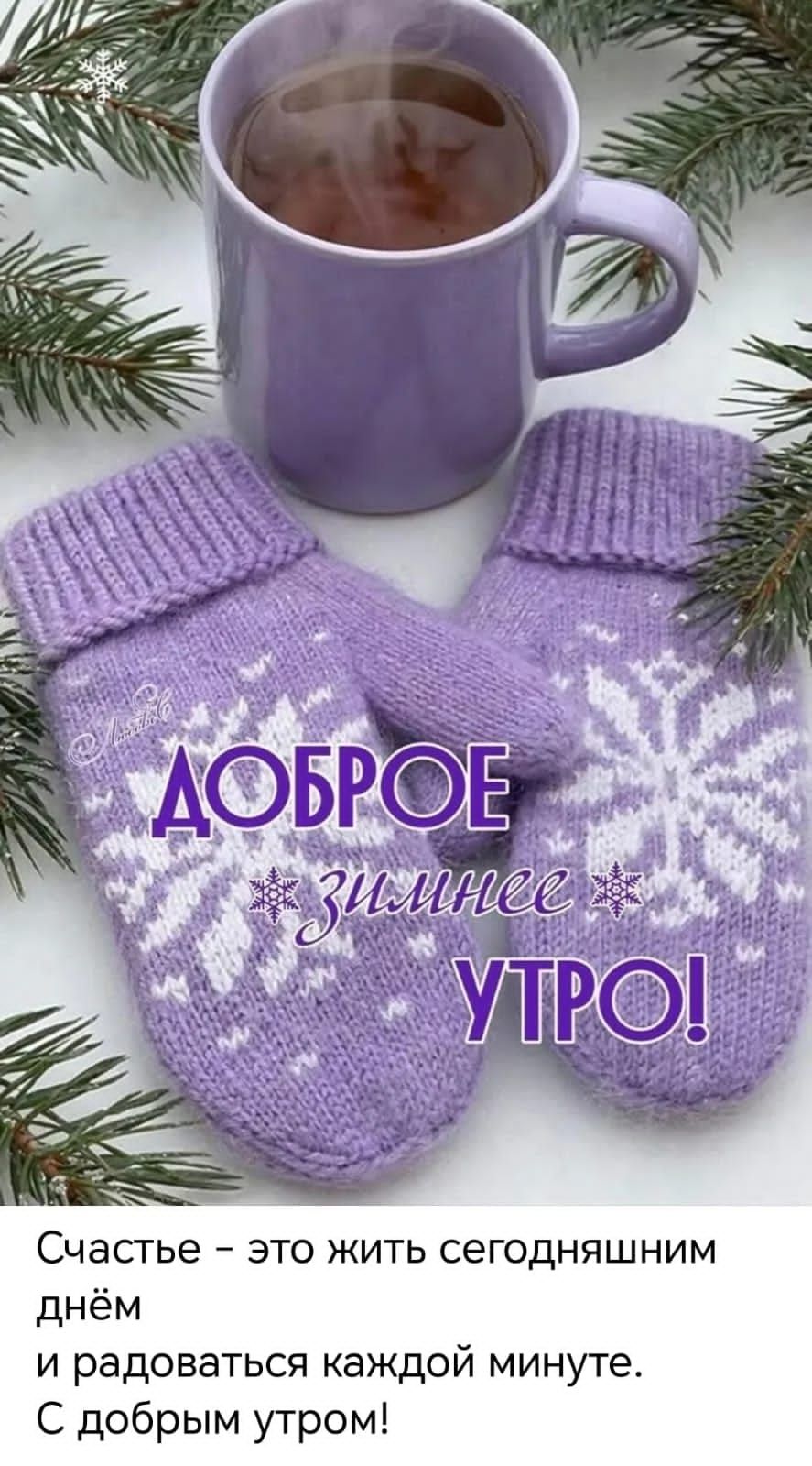 ДОБРОЕ зимнее УТРО!\nСчастье – это жить сегодняшним днём и радоваться каждой минуте. С добрым утром!