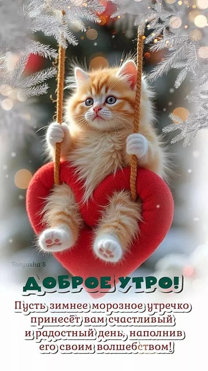 Доброе утро! Пусть зимнее морозное утречко принесёт вам счастливый и радостный день, наполнив его своим волшебством!