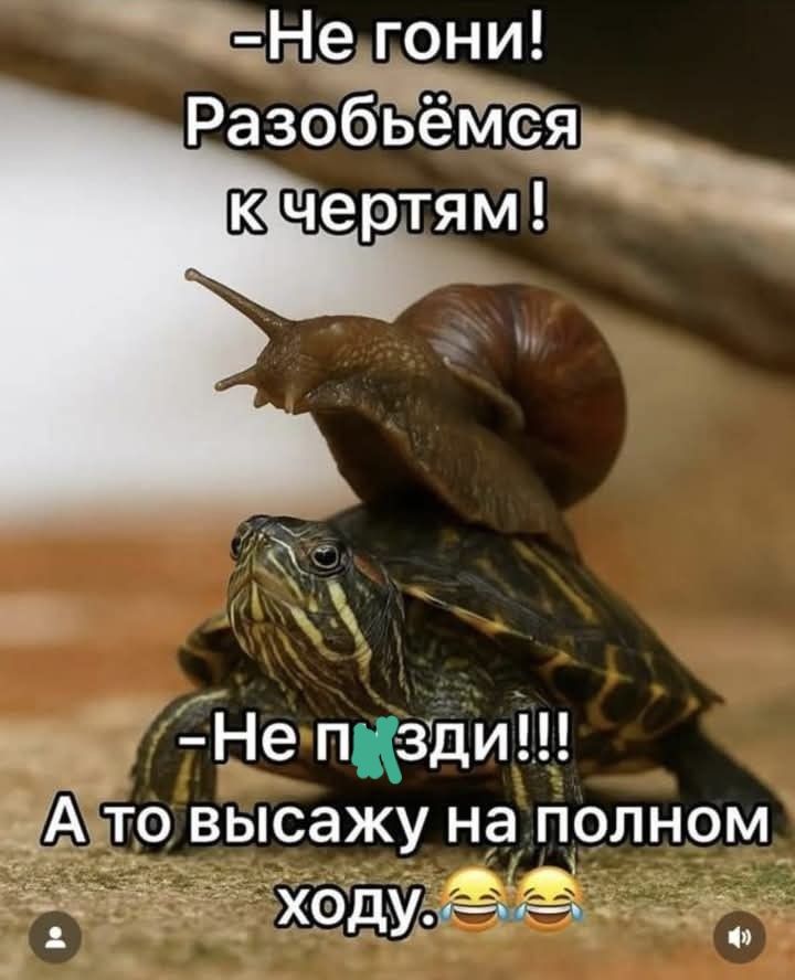 -Не гони! Разобьёмся к чертям! -Не п...!!! А то выскажу на полном ходу.