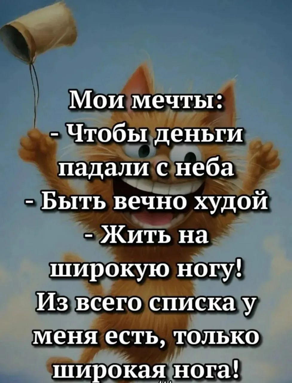 Мои мечты:
- Чтобы деньги падали с неба
- Быть вечно худой
- Жить на широкую ногу!
Из всего списка у меня есть, только широкая нога!