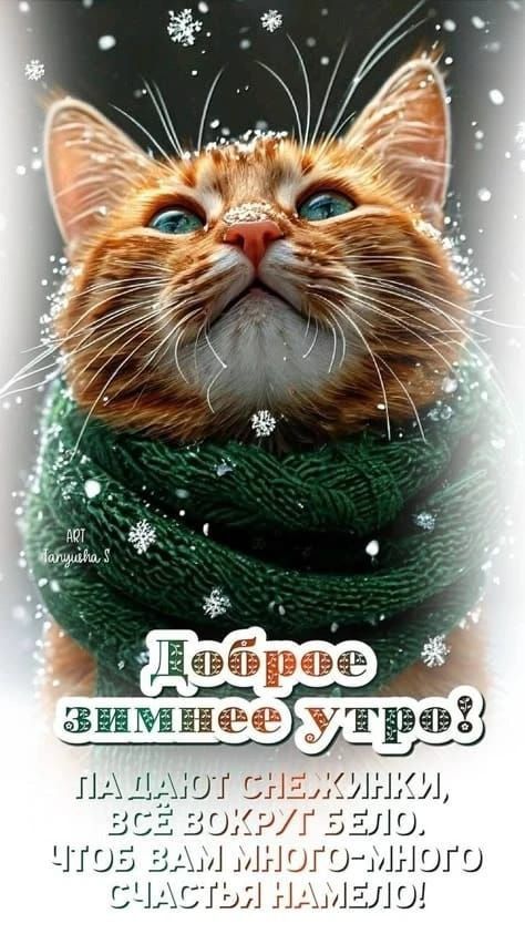 Доброе зимнее утро!