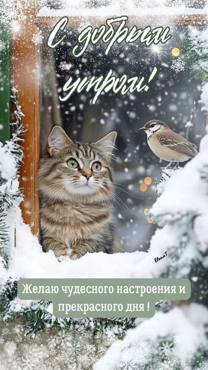 С добрым утром! Желаю чудесного настроения и прекрасного дня!