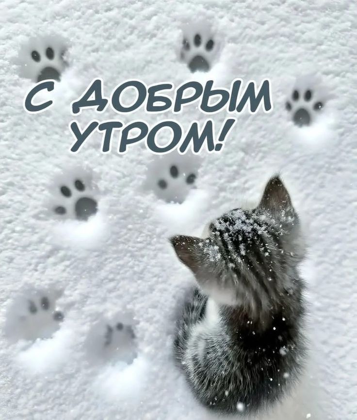 С ДОБРЫМ УТРОМ!