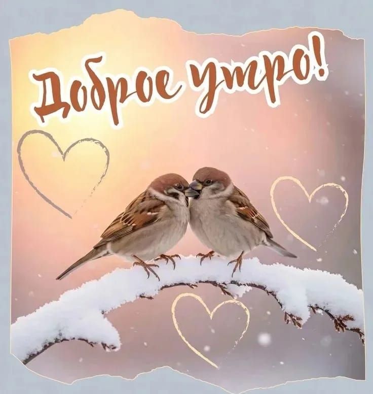 Добрые утро!