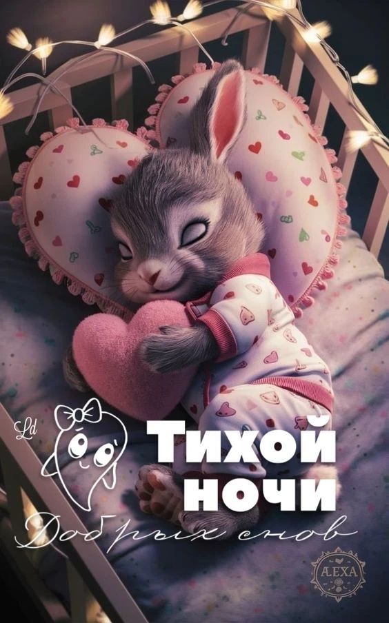 Тихой ночи добрых снов