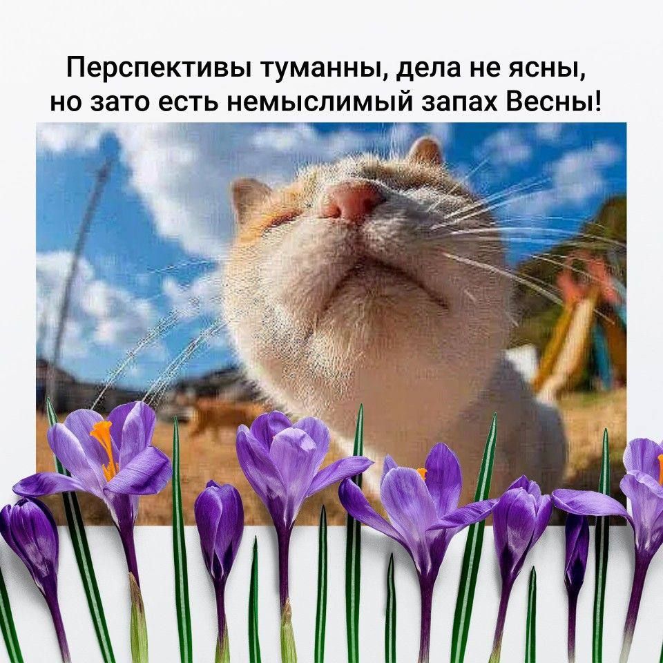 Перспективы туманны, дела не ясны, но зато есть немыслимый запах Весны!