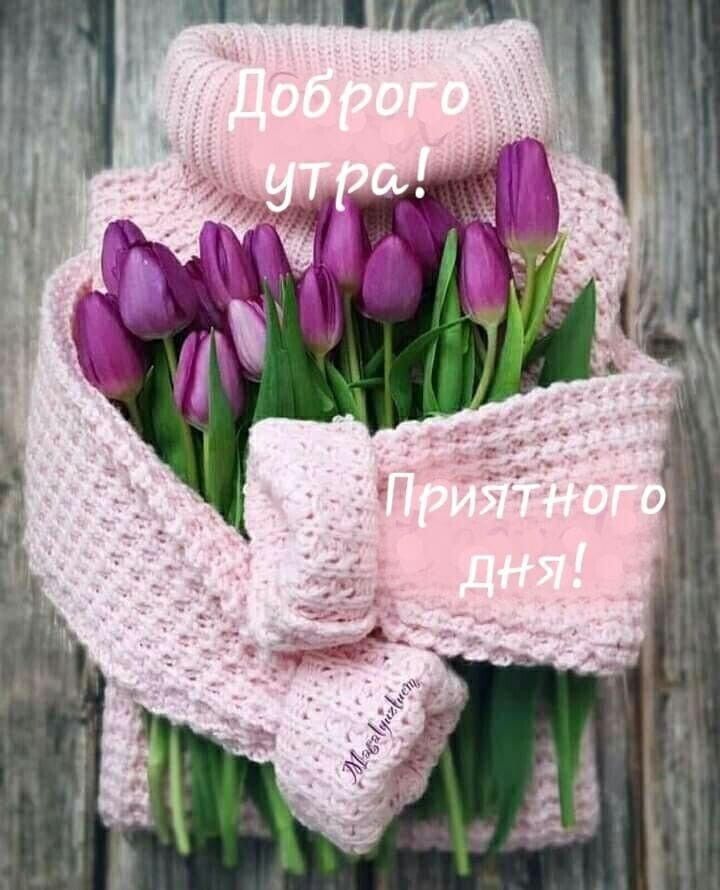 Доброго утра! Приятного дня!