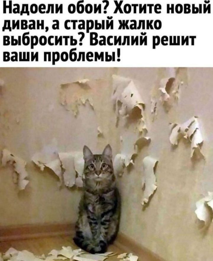 Надоели обои_Хотите новый диван а старыи жалко выбросить Василий решит ваши проблемы и