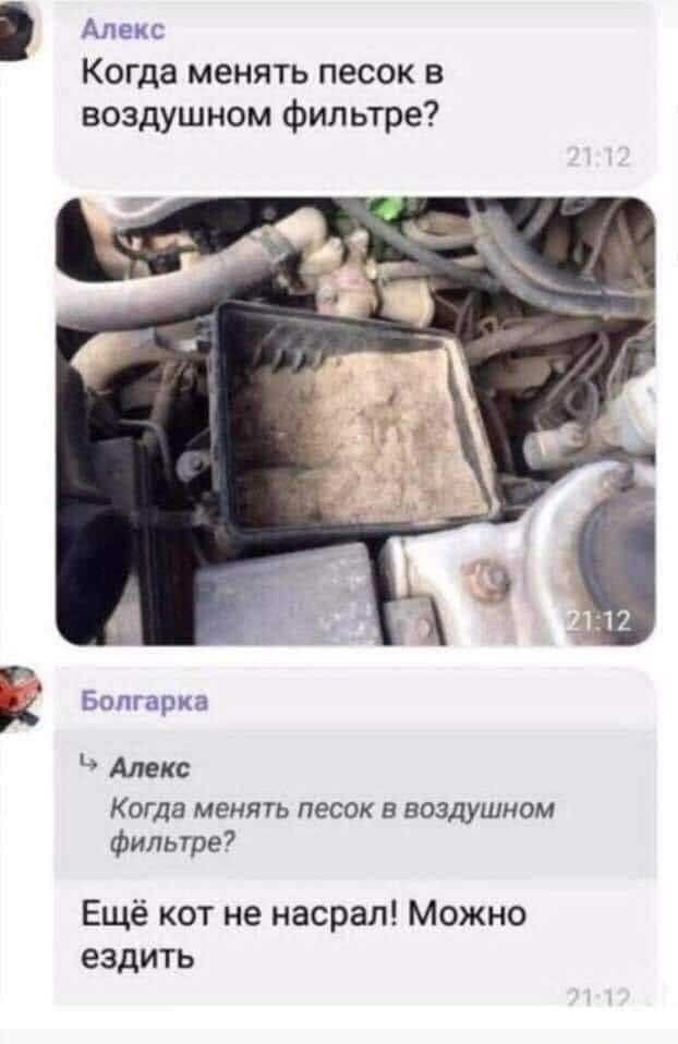 Апекс Когда менять песок в воздушном фильтре Болгарка Алекс КОГДЭ менять ПЕСОК В ВОЗДУШНОМ фильтре Ещё кот не насрал Можно ездить