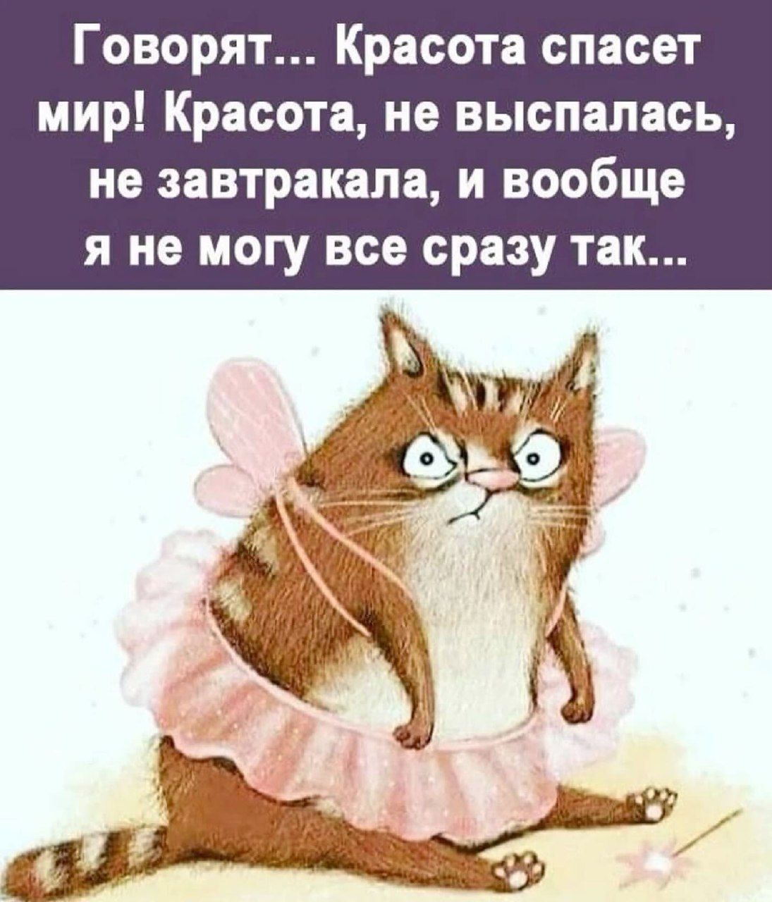 Говорят Красота спасет мир Красота не выспалась не завтракала и вообще я не могу все сразу так