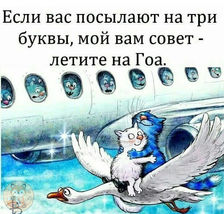 Если вас посылают на три буквы, мой вам совет - летите на Гоа.