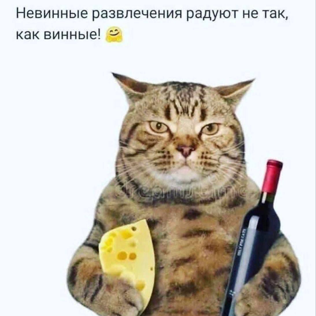 Невинные развлечения радуют не так, как винные! 😊