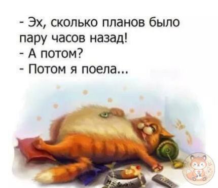 - Эх, сколько планов было пару часов назад! - А потом? - Потом я поела...