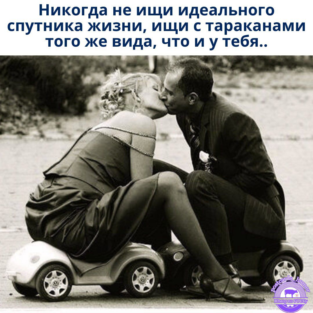 Никогда не ищи идеального спутника жизни, ищи с тараканами того же вида, что и у тебя..