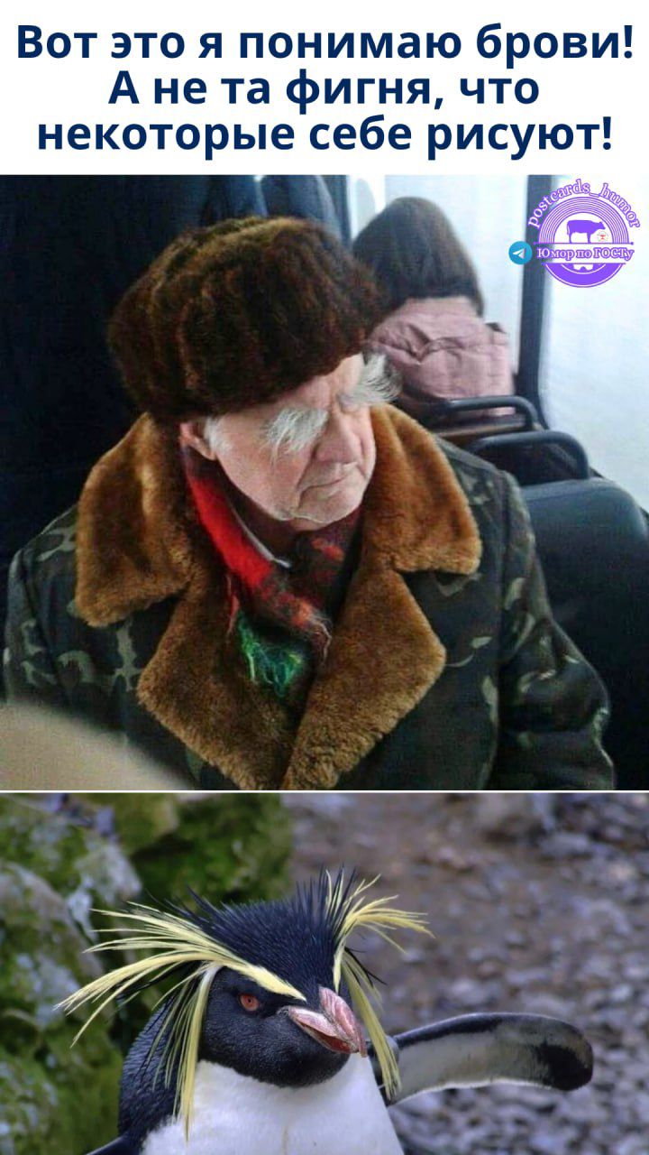Вот это я понимаю брови! А не та фигня, что некоторые себе рисуют!