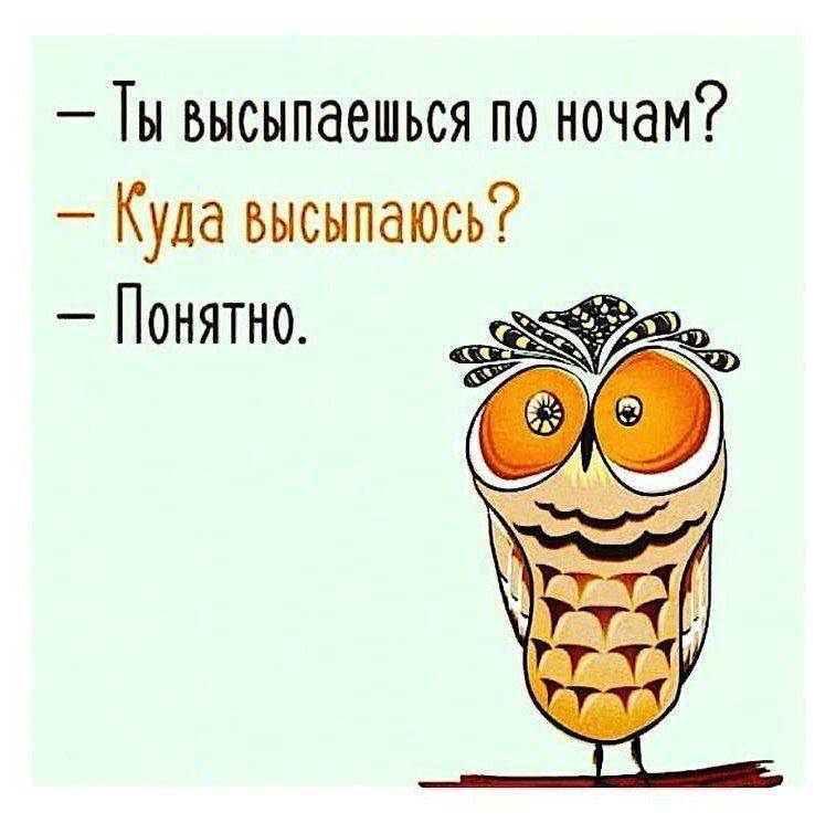 Ты высыпаешься по ночам? - Куда высыпаюсь? - Понятно.