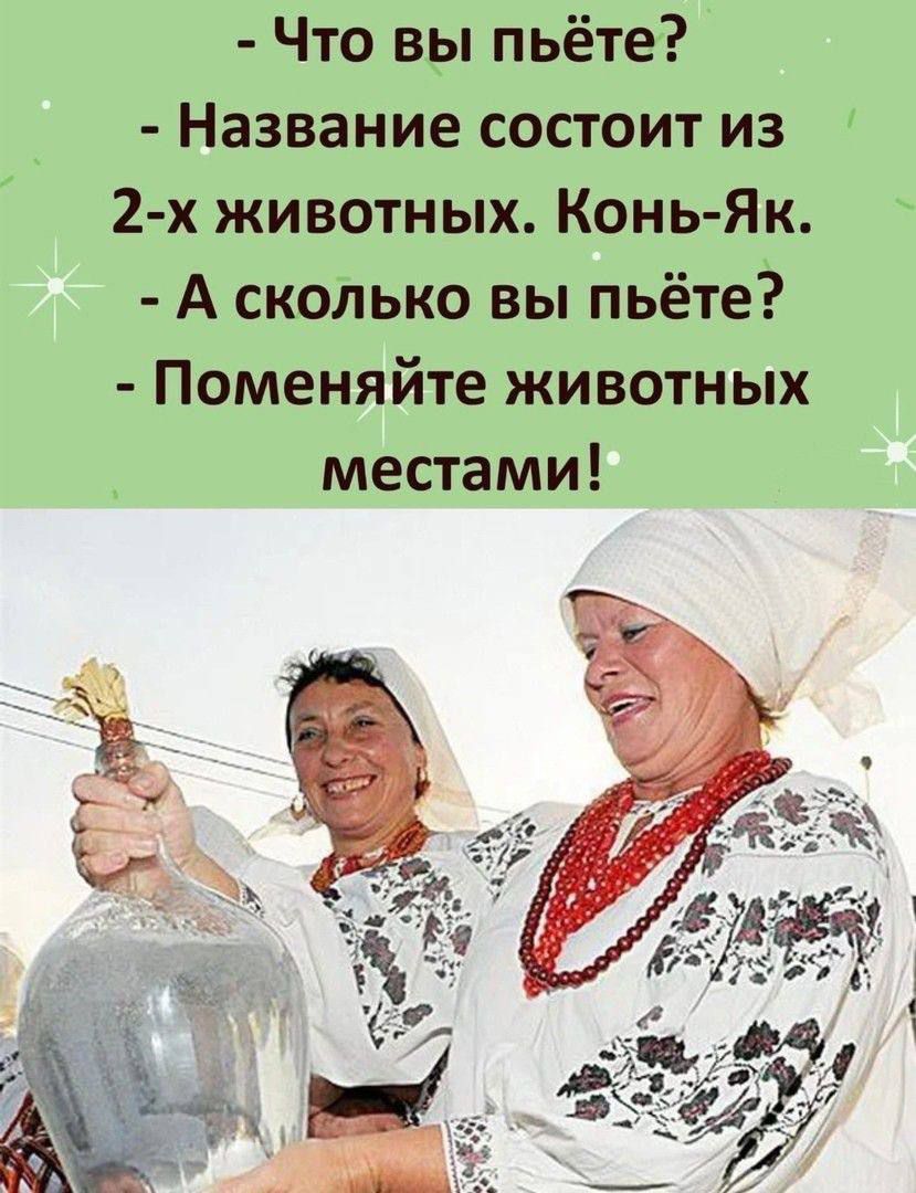 - Что вы пьёте? - Название состоит из 2-х животных. Конь-Як. - А сколько вы пьёте? - Поменяйте животных местами!