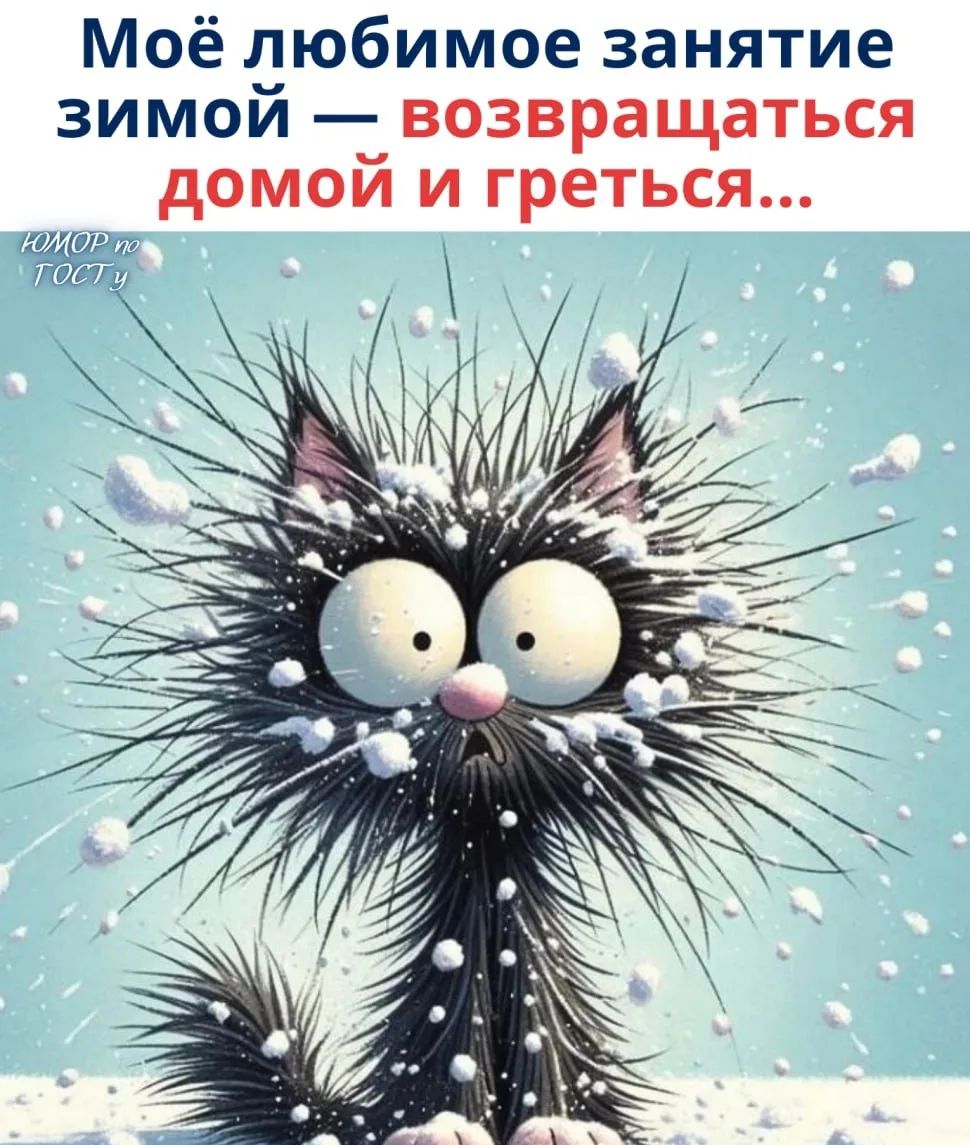 Моё любимое занятие зимой — возвращаться домой и греться...