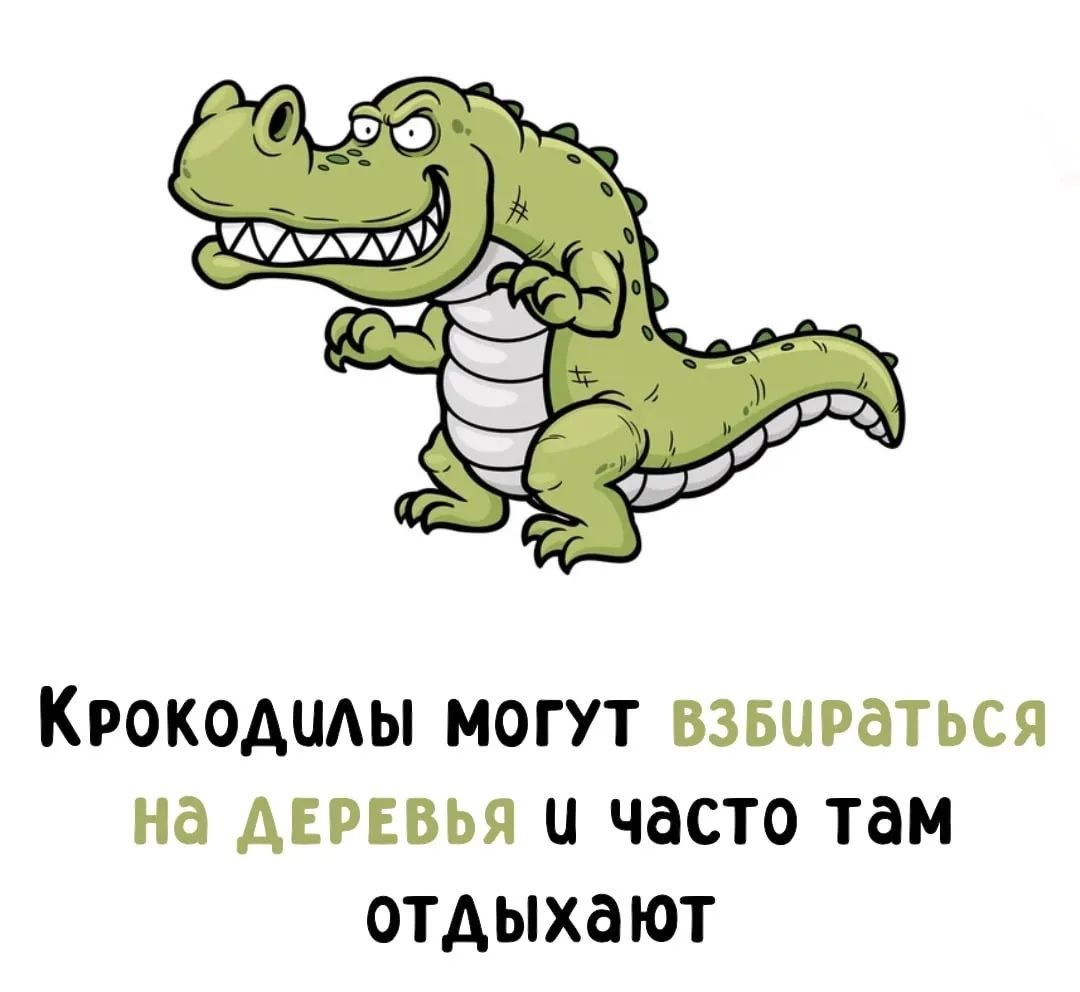 Крокодилы могут взбираться на деревья и часто там отдыхают
