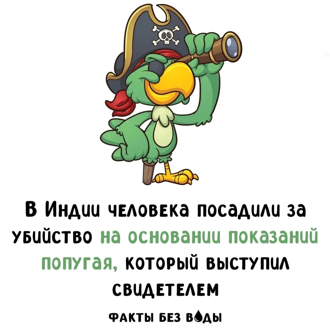В Индии человека посадили за убийство на основании показаний попугая, который выступил свидетелем