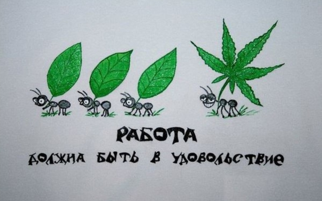 РАБОТА шыш вить жаждетш