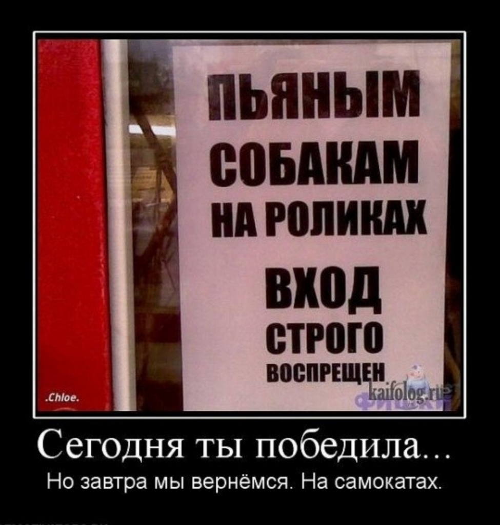 впвппщщ тт дмг Сегодня ты победила Но завтра мы вернёмся На самокатах