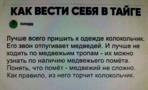 вест сшита ш Пучше всего пришить к одежде колокольчик Его звон отпугивает медведей И лучше не ходить по медвежьим тропам их можно узнать по наличию медвежьего помета Понять что помёт медвежий не сложно Как правило из него торчит колокольчик