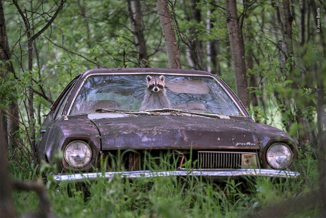 а а _ Н