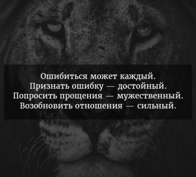 Ошибиться может каждый Признать ошибку достойный Попросить прощения мужественный Возобновить отношения сильный