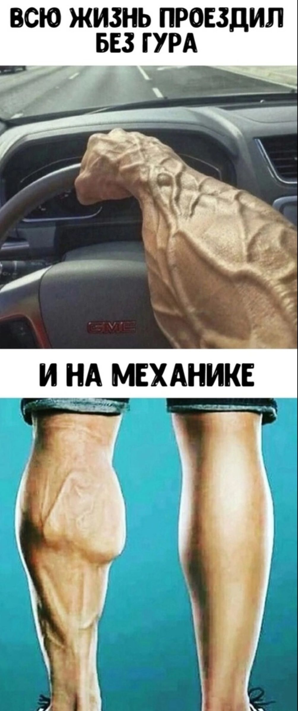 ВСЮ ЖИЗНЬ ПРОЕЗДИЛ БЕЗ ТУРА