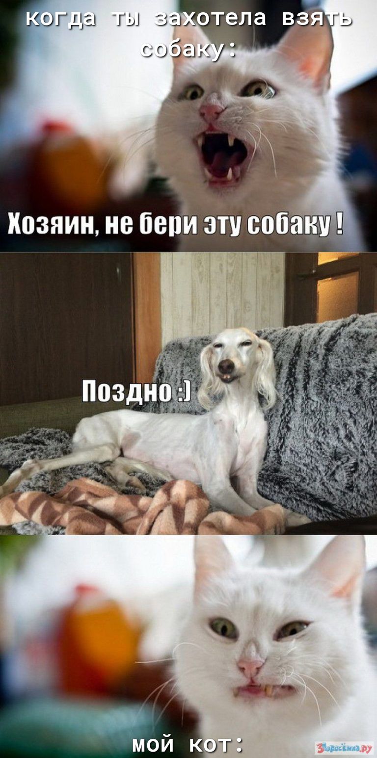 кг гда ты
