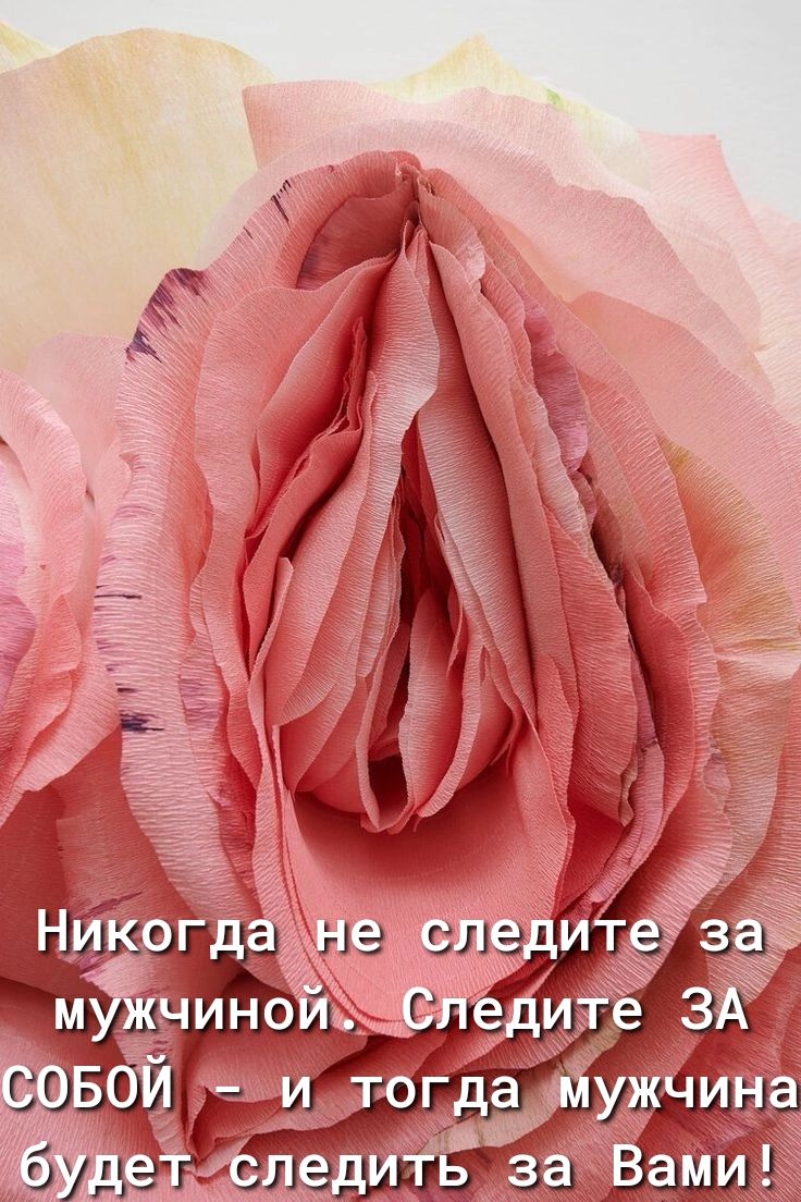 нз слал