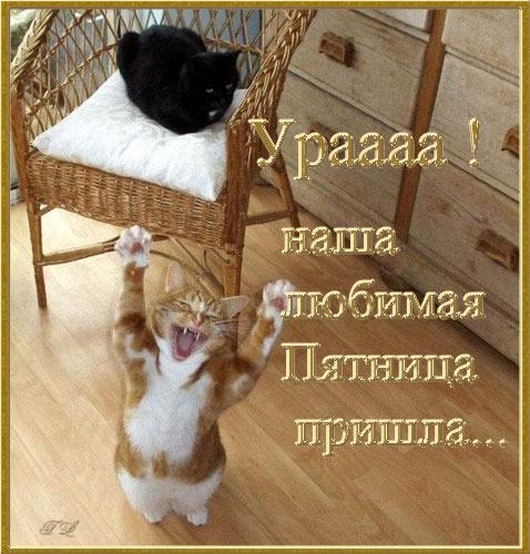 ТЖЁЦШЧЗЗ ГЮ бихиая Па