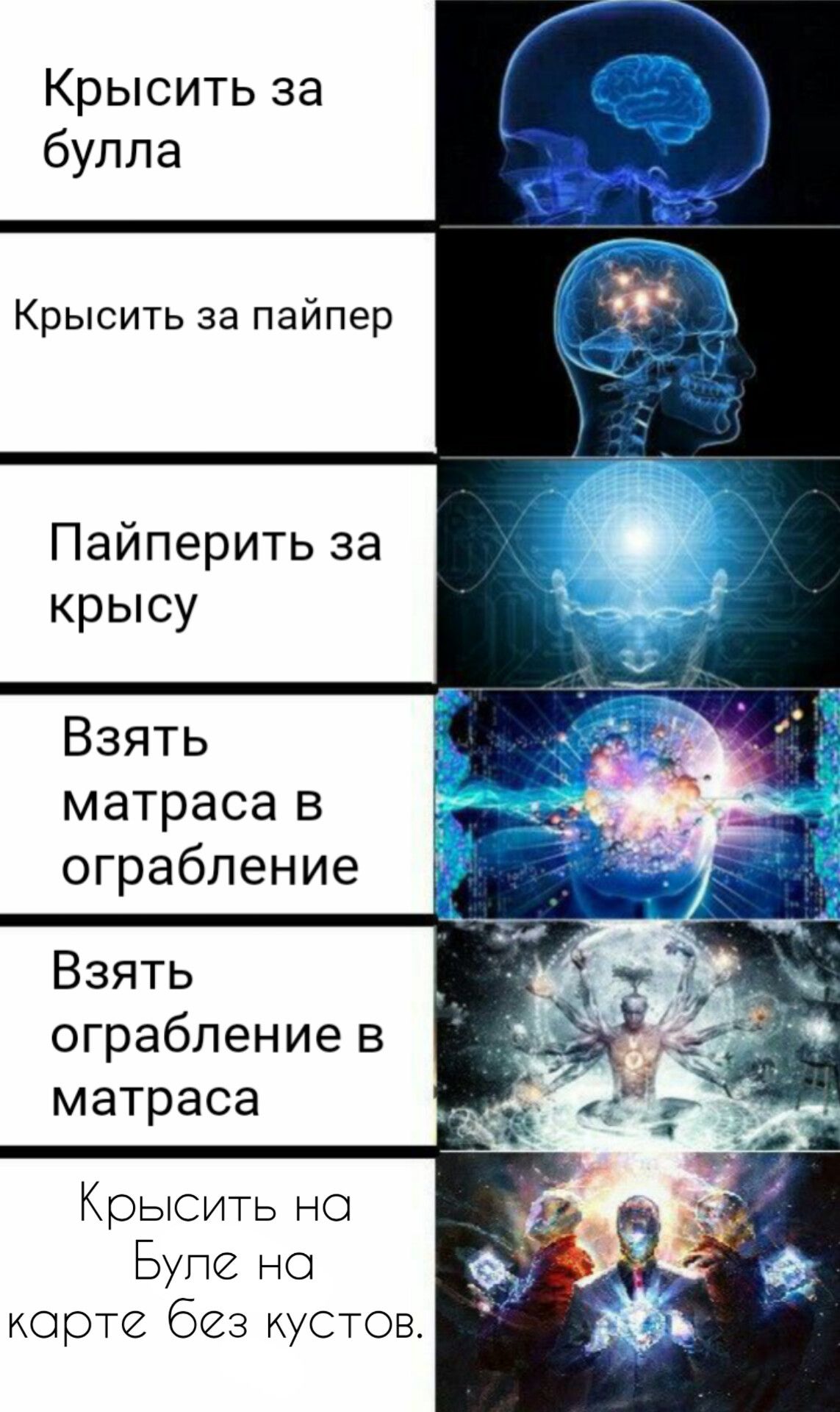 Крыситьза бупла Крысить за пайпер Пайперитьза крьюу Взять матрасав ограбление Взять ограблениев матраса Крысить но Бупе но корте безкустов