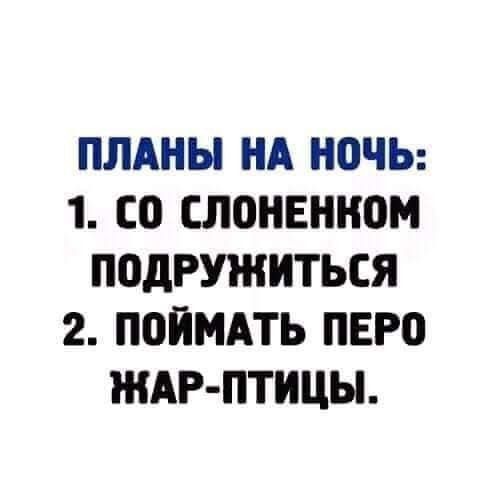 ПЛАНЫ НА НОЧЬ 1 СО СЛОНЕНКОМ ПОДРУЖИТЬСЯ 2 ПОЙМАТЬ ПЕРО ЖАР ПТИЦЫ