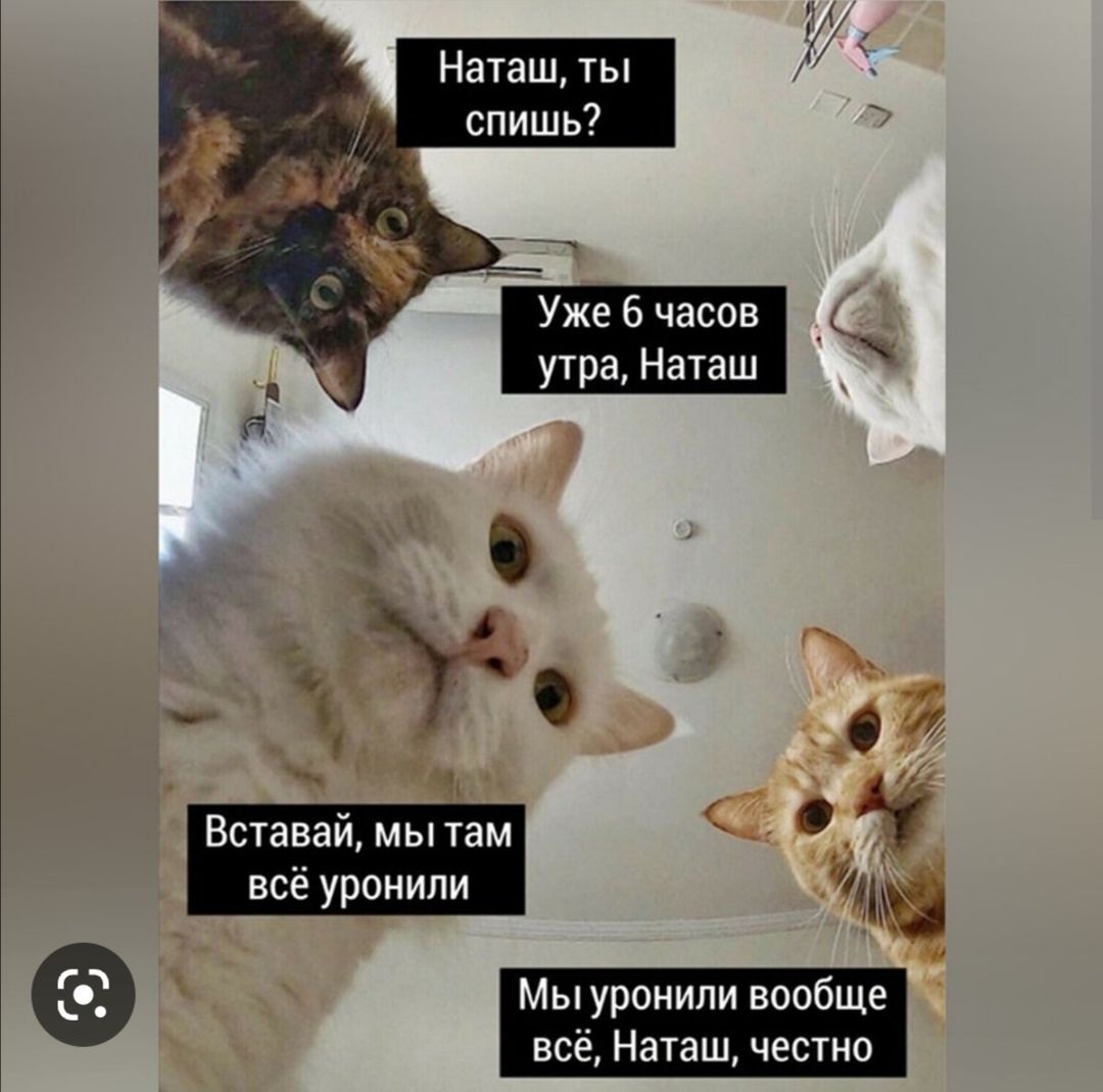 Наташ ты спишь