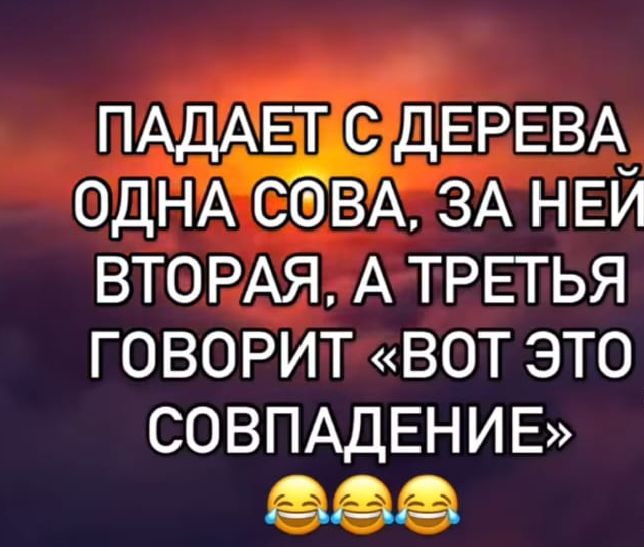 ПАДАET С ДЕРЕВА ОДНА СОВА, ЗА НЕЙ ВТОРАЯ, А ТРЕТЬЯ ГОВОРИТ «ВОТ ЭТО СОВПАДЕНИЕ» 😂😂😂