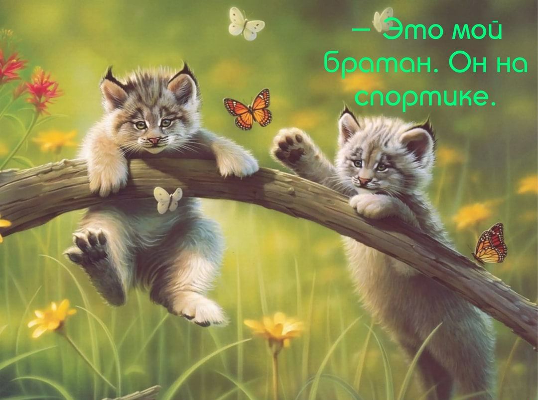 Это МОО Бр ин Он но уортщне