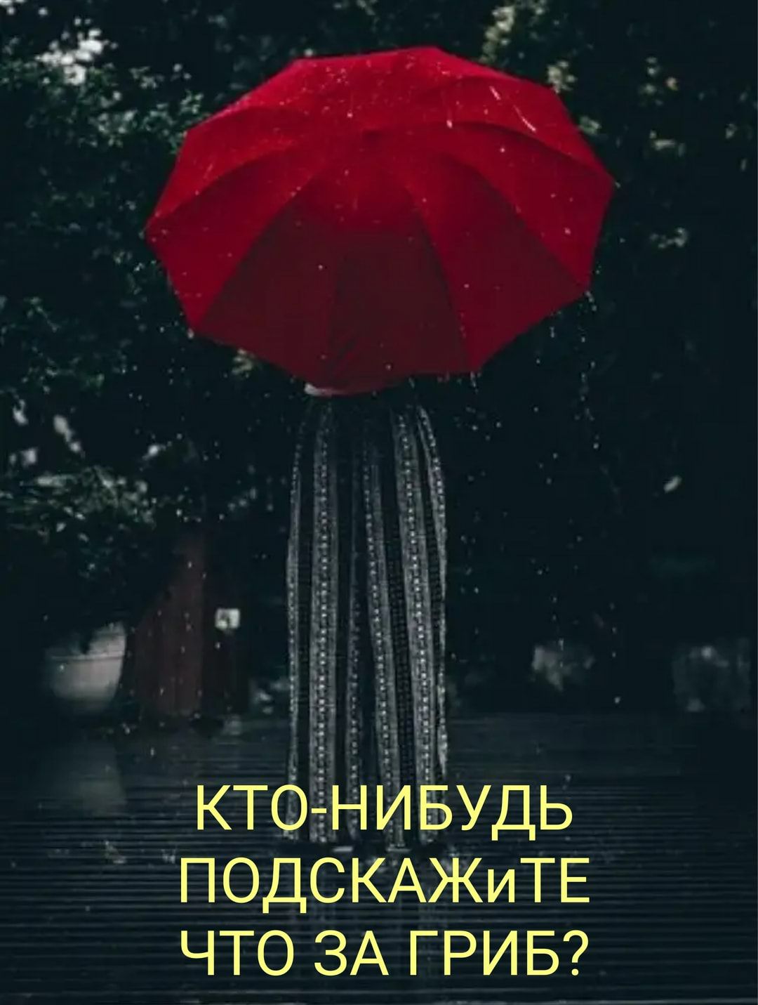 ПОДСКАЖИТЕ что ЗА гри во