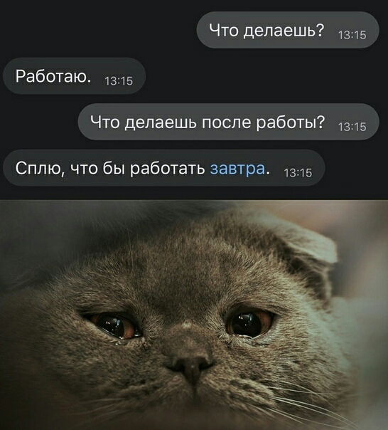 Что делаешь 1315 Работаю 1315 Что делаешь после работы 1315 Сплю что бы работать завтра 1315