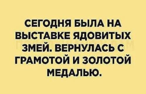 сегодня БЫЛА нд ВЫСТАВКЕ ядовитых змей вернумсь ГРАМОТОЙ и золотой МЕДАЛЬЮ